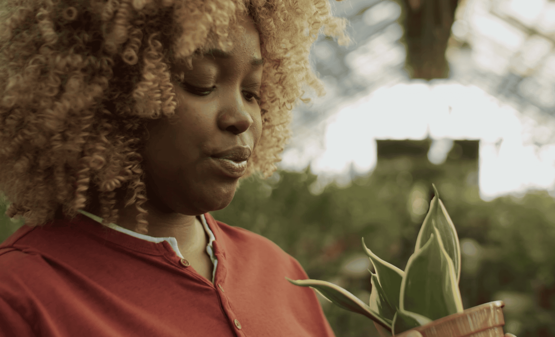Seed ad production frame